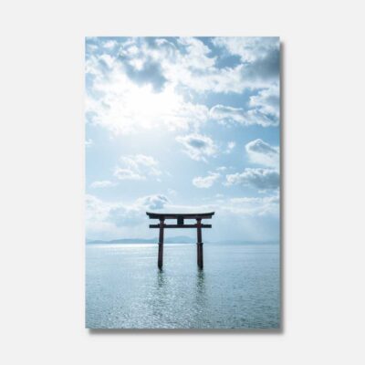 image_1 Colier din dinți de rechin surfer shorebite